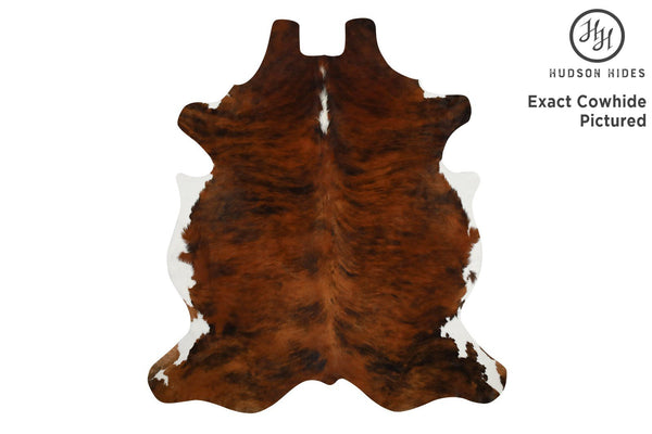 Tricolor Cowhide Rug #7196