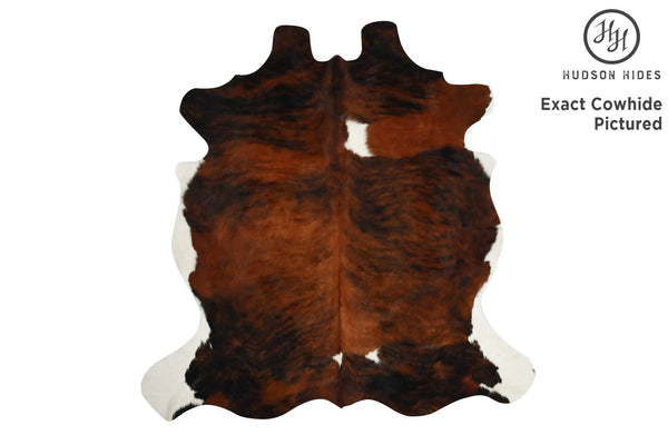 Tricolor Cowhide Rug #7247