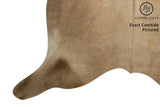 Alpen Cowhide Rug #7525