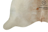 Gris Beige Cowhide Rug #7556