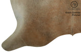 Gris Beige Cowhide Rug #7576