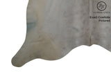 Gris Grey Cowhide Rug #7743