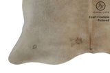 Gris Beige Cowhide Rug #7807