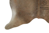 Gris Beige Cowhide Rug #7930