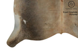 Gris Beige Cowhide Rug #7937