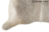 Gris Grey Cowhide Rug #8686