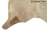 Champagne Cowhide Rug #8881