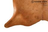 Solid Brown Cowhide Rug #8980