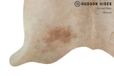 Gris Beige Cowhide Rug #9248